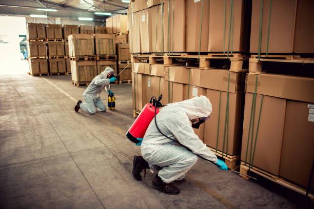 Best Pest Prevention Services  in Tullahoma, TN