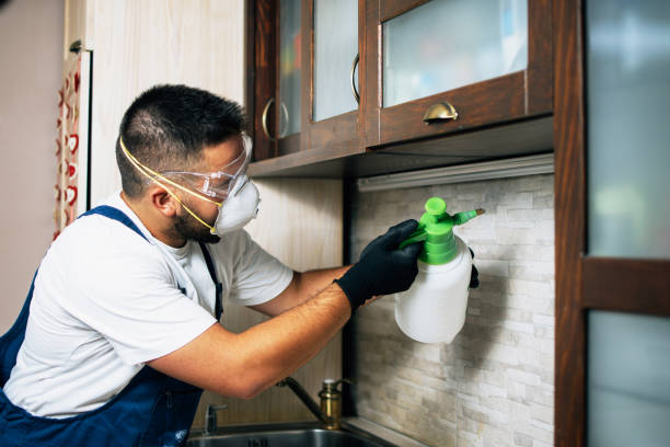 Best Affordable Pest Control Services  in Tullahoma, TN