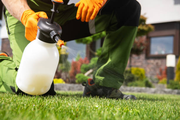 Best Mosquito Control Services  in Tullahoma, TN