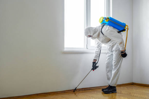 Best Cockroach Control Services  in Tullahoma, TN