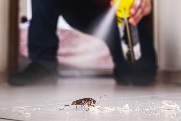Best Best Pest Control Companies  in Tullahoma, TN